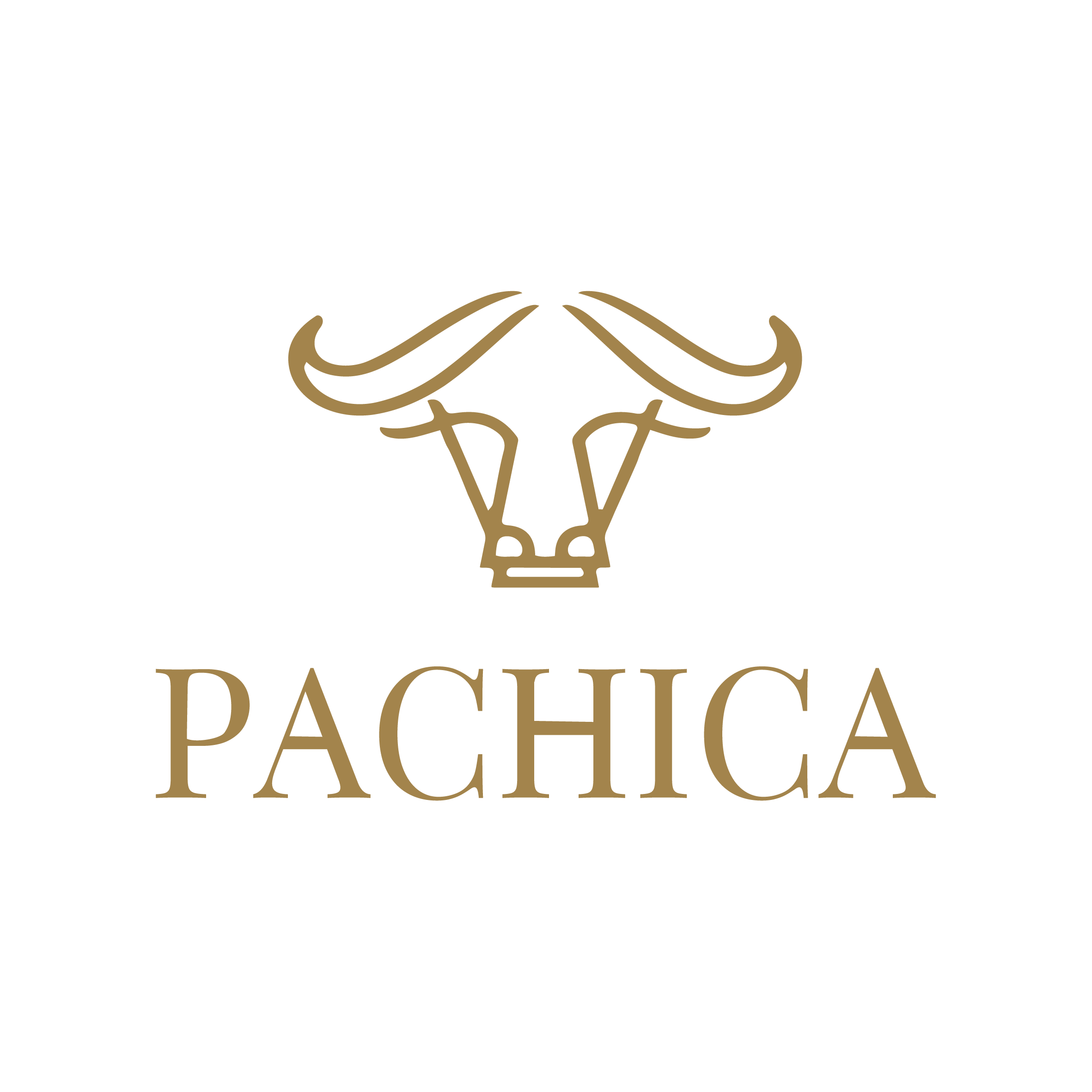 Pachica - Doce de Leite de Búfala